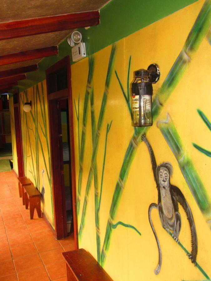 Hakuna Matata Hostel 까위따 외부 사진