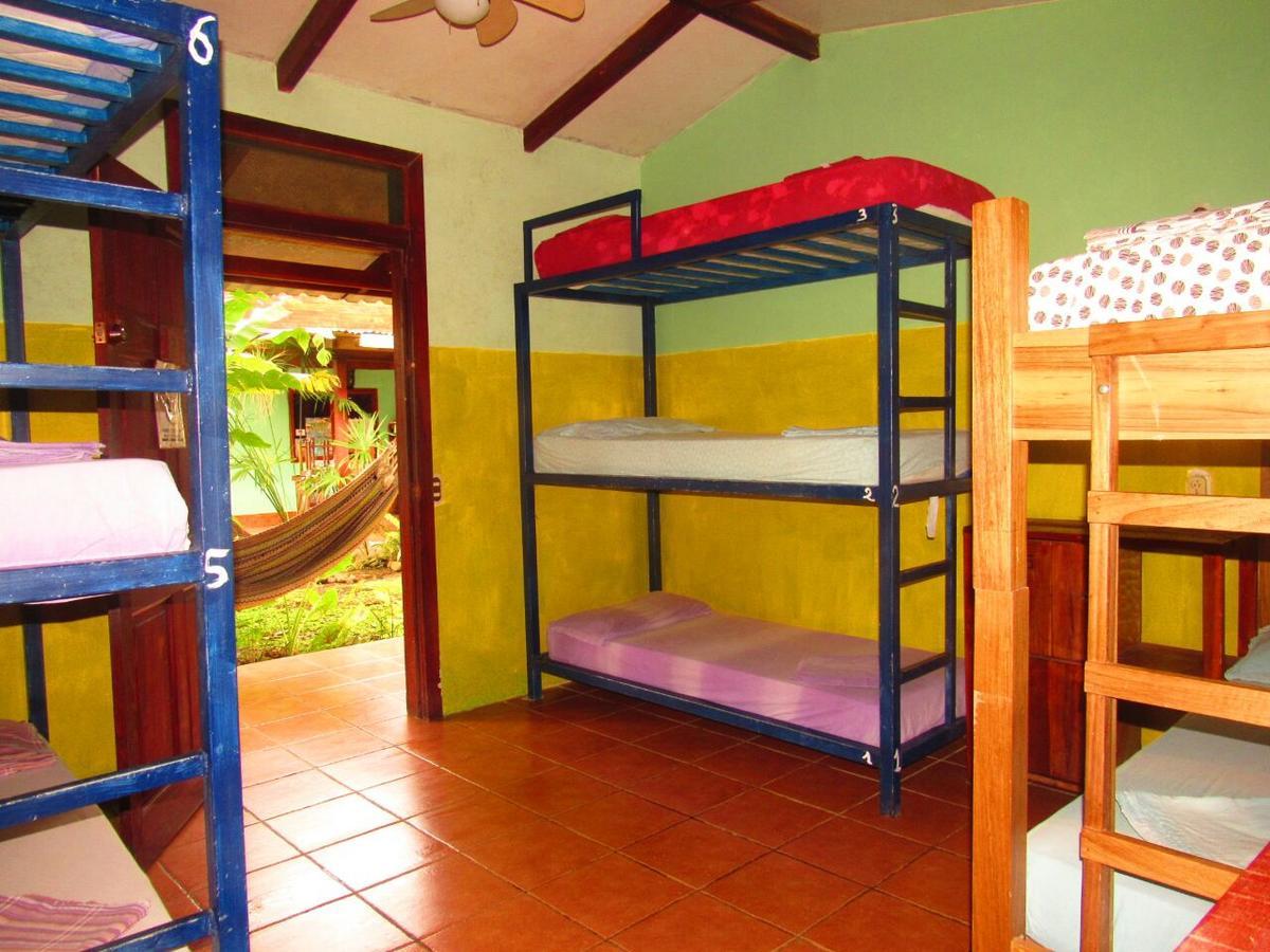 Hakuna Matata Hostel 까위따 외부 사진
