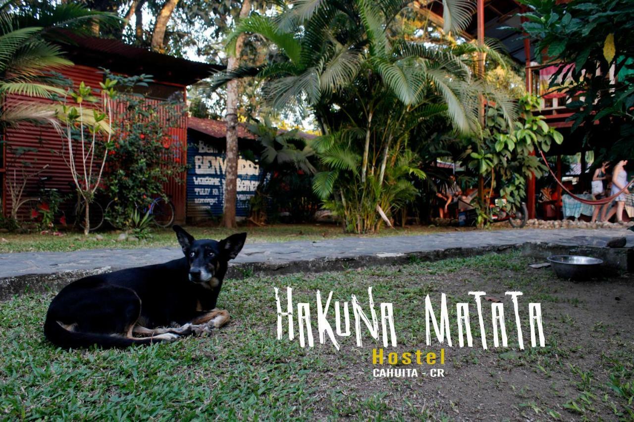 Hakuna Matata Hostel 까위따 외부 사진