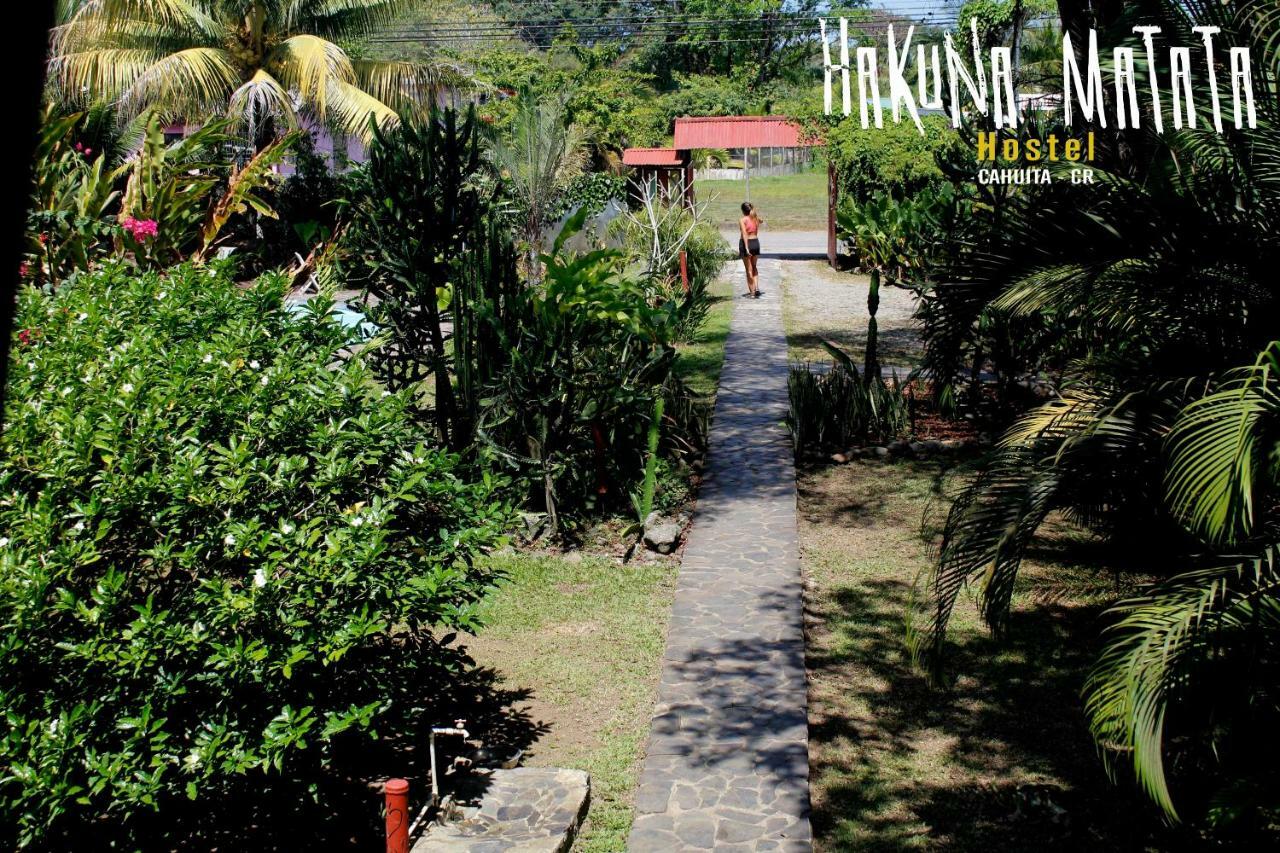 Hakuna Matata Hostel 까위따 외부 사진