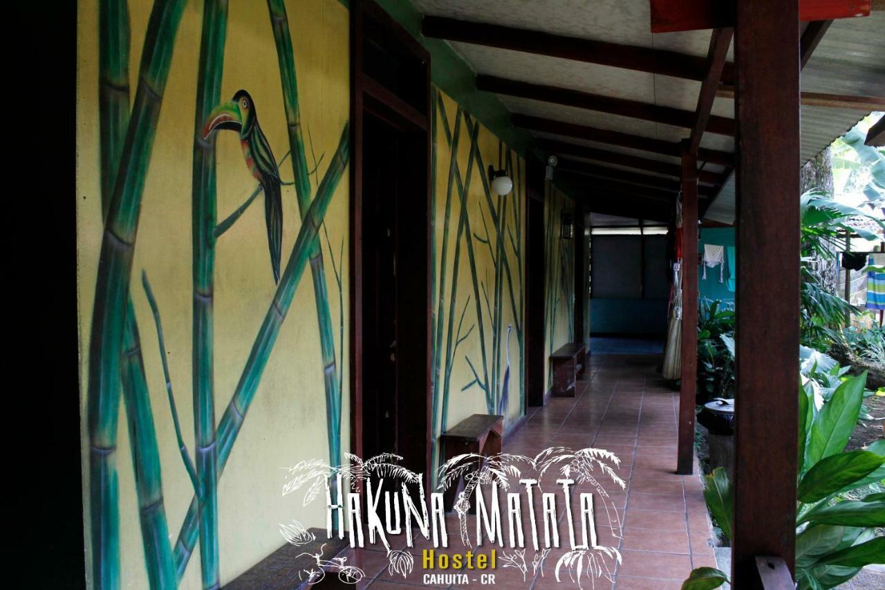 Hakuna Matata Hostel 까위따 외부 사진