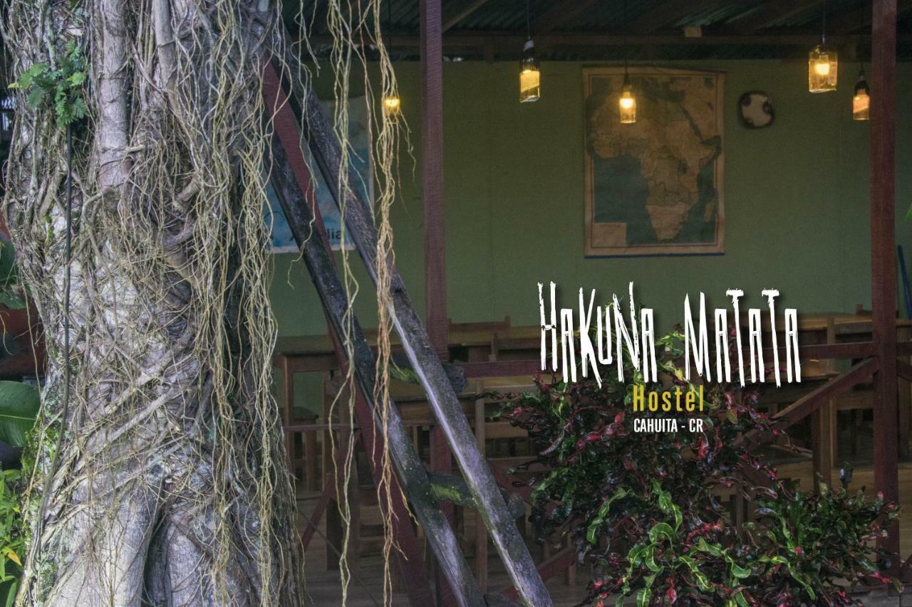 Hakuna Matata Hostel 까위따 외부 사진